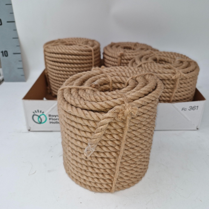 <h4>SISAL TOUW H%</h4>