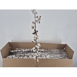 A-DF Cotton White 90cm 10 Ball