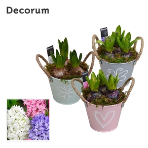 Hyacint Bucket Maxi HL10640 [LOVELY COLORS]