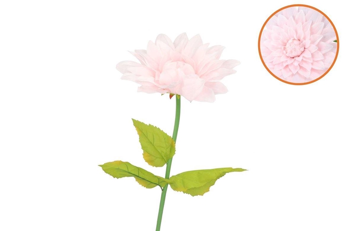 Silk Amazing Dahlia Beauty Light Pink Xxl 50x120cm