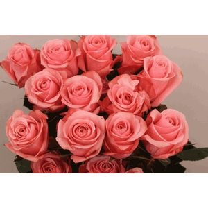 R Gr Be Sweet
