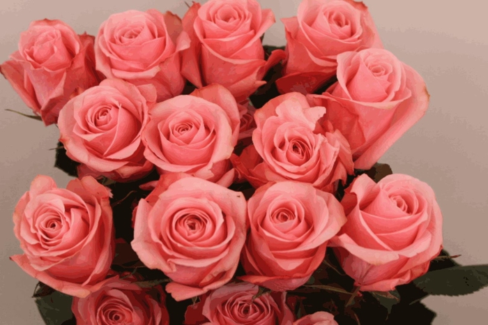 <h4>R Gr Be Sweet</h4>