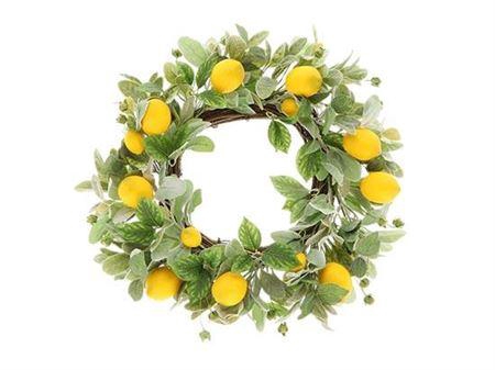 <h4>Wr Lemon H13d50</h4>