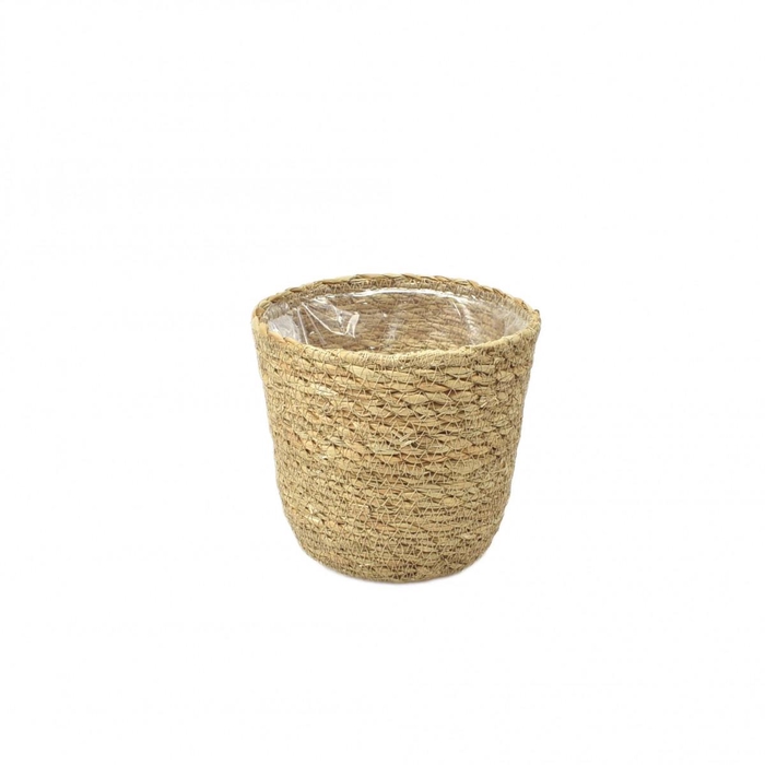 <h4>Baskets Milou pot d14*13cm</h4>