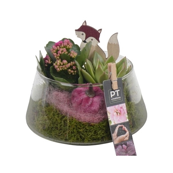 <h4>PTHG3400 Arrangement Autumn Glass in glas vaas</h4>