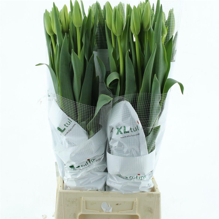 <h4>Tu En Ouveze</h4>