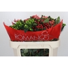 Hypericum Rainbow Romance Spray