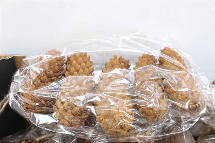 <h4>Deco Pinecone Spruce Cinnamon 5pcs L19w12h14</h4>