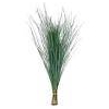 BEARGRASS ROOD