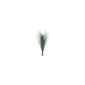 BEARGRASS