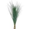 BEARGRASS
