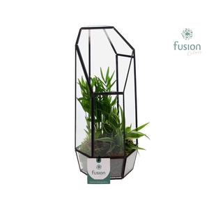 Metalen Lantaarn met Arrangement