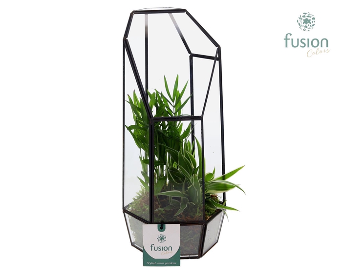 <h4>Metalen Lantaarn met Arrangement</h4>