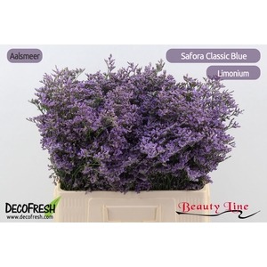 LIM SAF CLASSIC BLUE