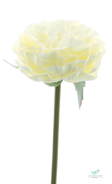 SILK FLOWERS - RANUNCULUS PICK HAWAII WHITE 25CM