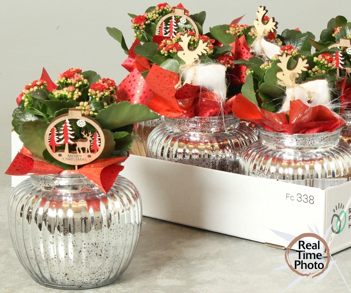 <h4>Arr Kamerpl</h4>