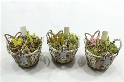 <h4>21308 WILG MANDJE TETE</h4>