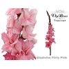GLAD GR FLIRTY PINK