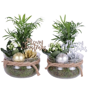 Christmas Arr. Indoor Glass Bowl with Rope Ø20cm 3pp