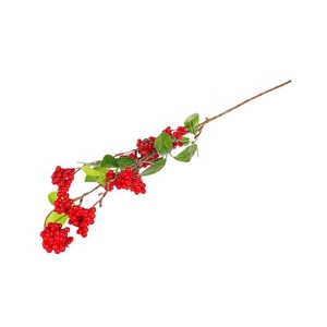 BRANCH BERRY DULCIS L88 red