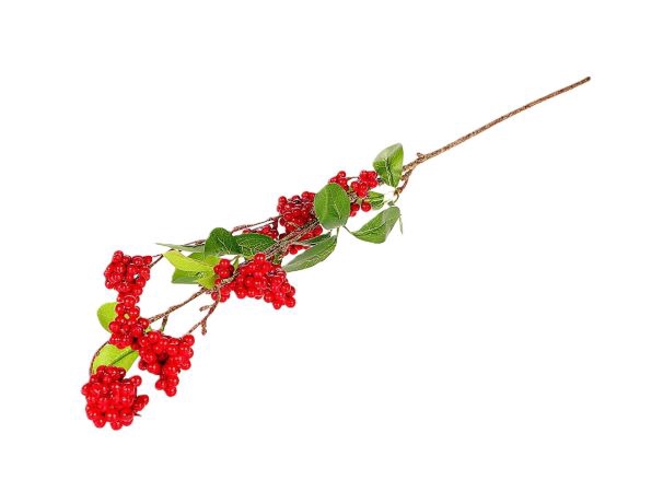 <h4>BRANCH BERRY DULCIS L88 red</h4>