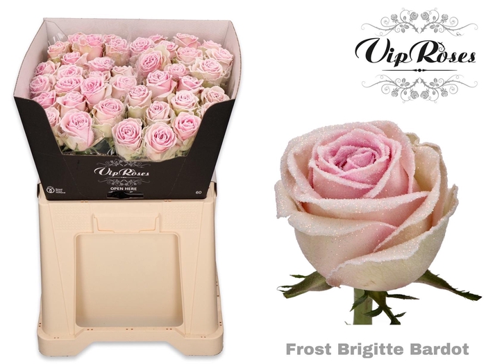 <h4>R GR OV KLB H%</h4>