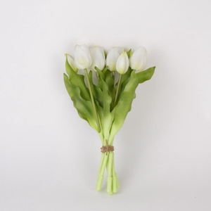 AF Tulip bundle x7 L30cm white