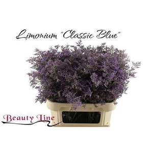 Lim Saf Classic Blue