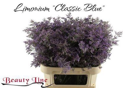 <h4>Lim Saf Classic Blue</h4>