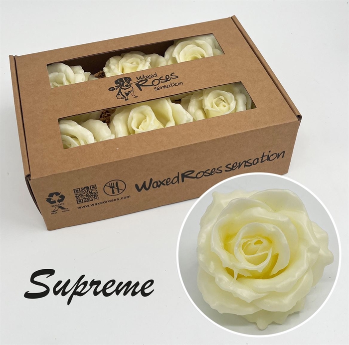 <h4>R Zijde Supreme Creme Wx</h4>
