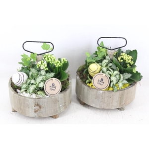 arr2 PL - Etagere rond 5x - geel/wit