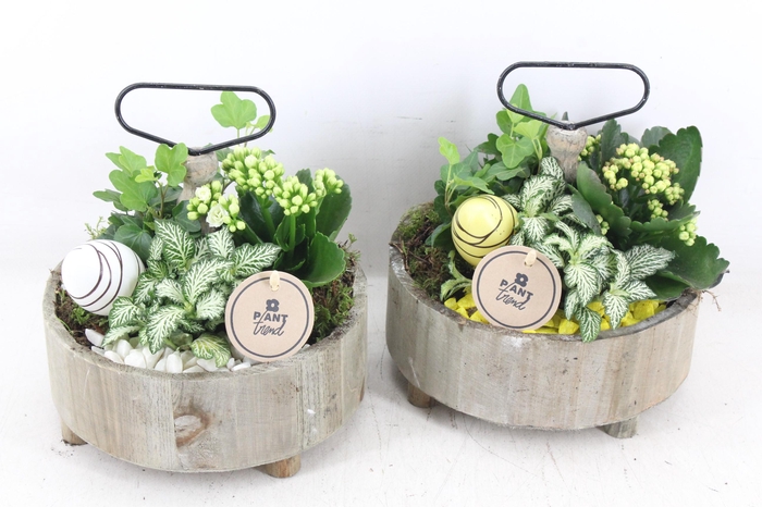 <h4>arr2 PL - Etagere rond 5x - geel/wit</h4>