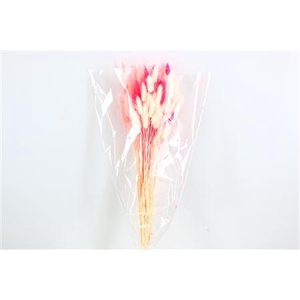 Dried Lagurus 50gr Mothersday Mix B