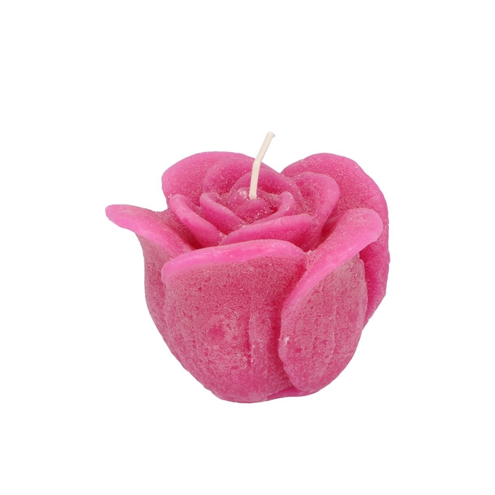 <h4>Candle Roos Fuchsia 8x7cm</h4>