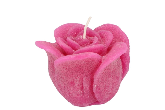 <h4>Candle Roos Fuchsia 8x7cm</h4>