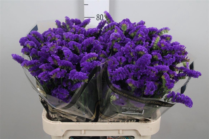 <h4>Lim S Cryst Dark Blue</h4>