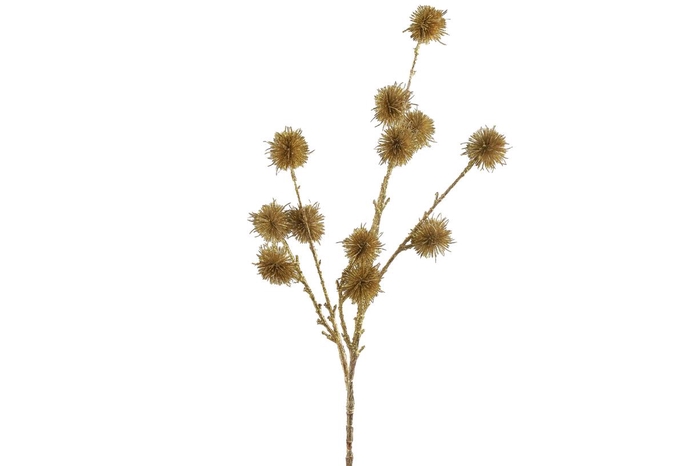 <h4>Af Sweetgum L68cm Gold</h4>