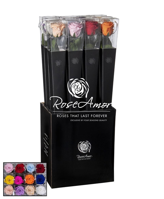 <h4>Lori 70cm Assorted</h4>