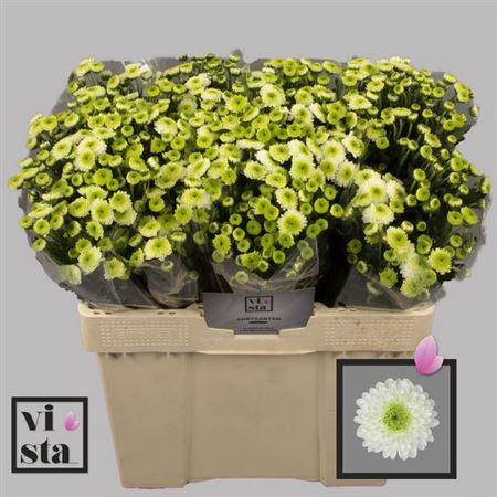 <h4>Chr S Ferry</h4>