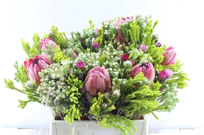 <h4>Protea Boeket</h4>