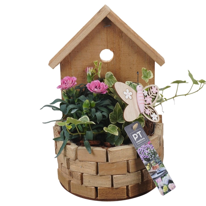 <h4>PTPP6989 Arrangement Patio in houten bak</h4>