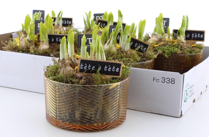 <h4>ARR N TETE A TETE</h4>