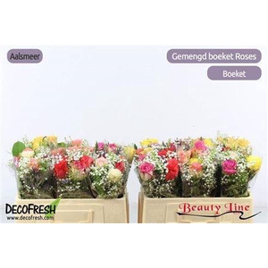 XXXX GEM ZOMERBOEKET    SF