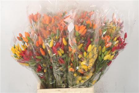 <h4>Pepers Paprika Mix Per Bunch</h4>