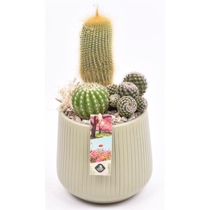 Keramiek vert.lines khaki mat 14cm