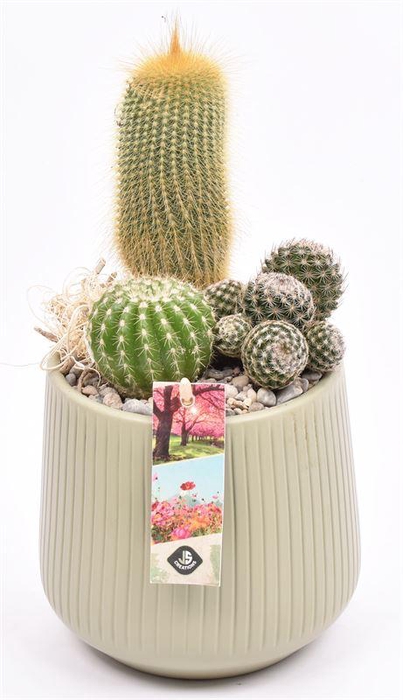 <h4>Keramiek vert.lines khaki mat 14cm</h4>