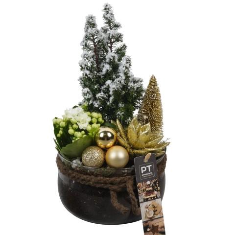 <h4>PTCHG5729 Arrangementen Kerst</h4>