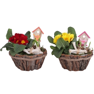 Early Spring Arr. Outdoor Wooden Bark Pot with Rope Ø20cm 2PP