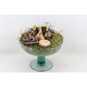 arr4 Narcis PL - Glas op voet sofia 999/4