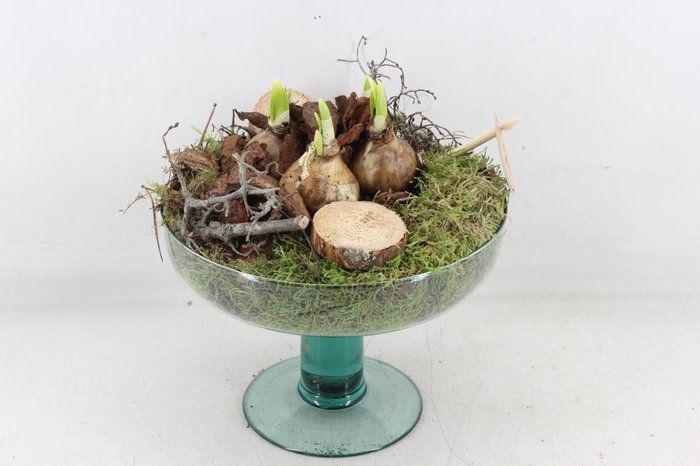 <h4>arr4 Narcis PL - Glas op voet sofia 999/4</h4>